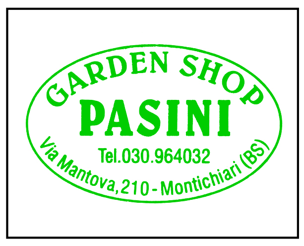 pasini